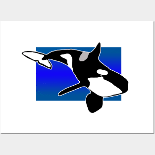 Orca Posters and Art
